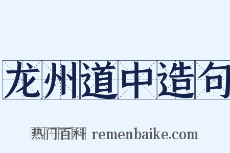 龙州道中造句是什么意思的图片